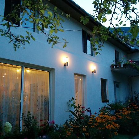 Pension Casa Anadam Бэиле-Еркулане Экстерьер фото
