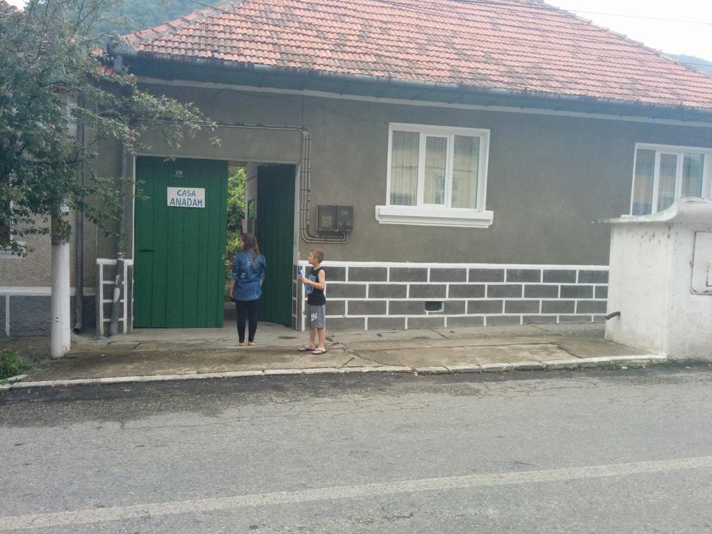 Pension Casa Anadam Бэиле-Еркулане Экстерьер фото