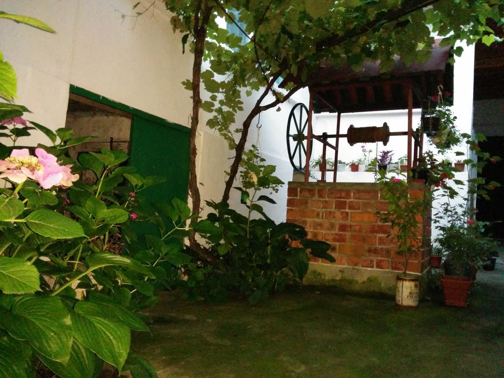 Pension Casa Anadam Бэиле-Еркулане Экстерьер фото