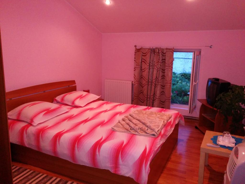Pension Casa Anadam Бэиле-Еркулане Номер фото
