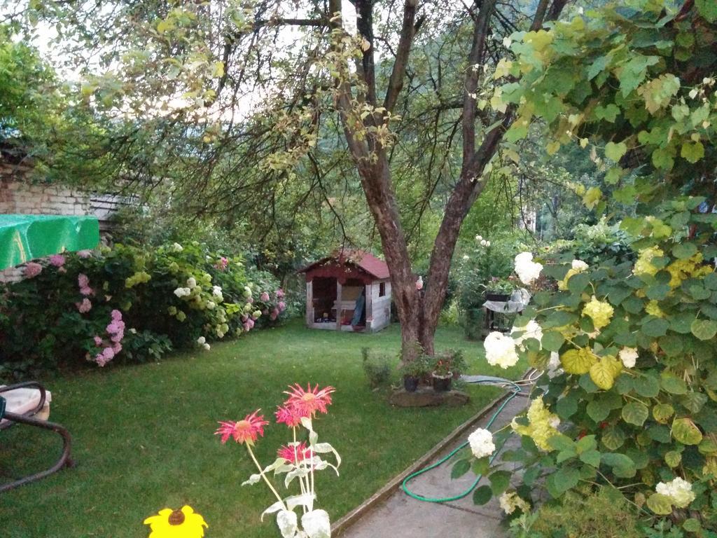 Pension Casa Anadam Бэиле-Еркулане Экстерьер фото